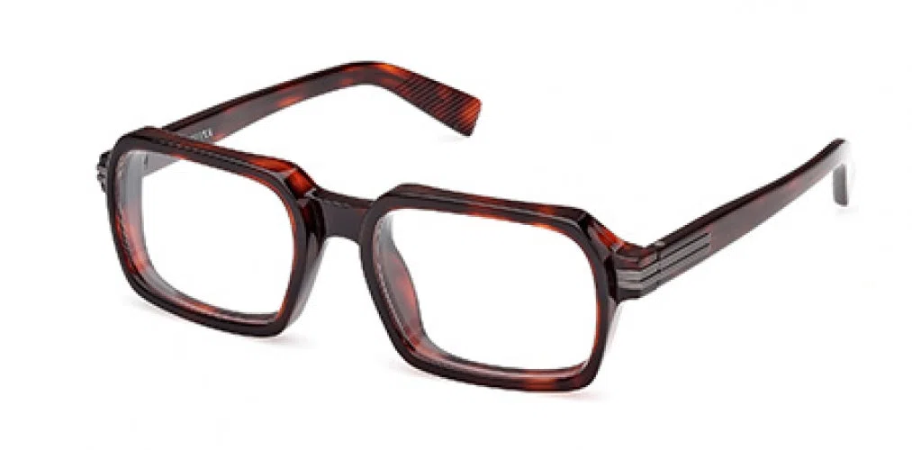 ZEGNA 5301 Eyeglasses - view 3